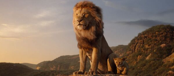 在滨海边疆区发现了动画电影《狮子王》中的山岩 - 俄罗斯卫星通讯社