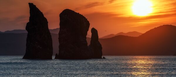 俄堪察加半岛将为东北亚居民制定特别邮轮计划 - 俄罗斯卫星通讯社