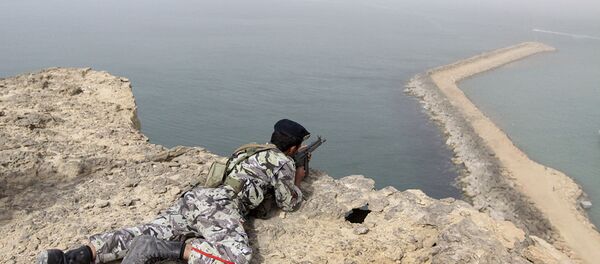 波斯灣和霍爾木茲海峽所有無人機全部返回基地 - 俄羅斯衛星通訊社