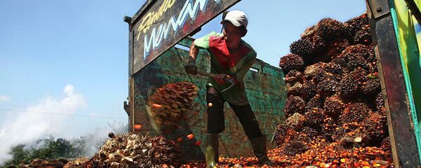 马来西亚表示如欧盟停止进口棕榈油将改从俄罗斯购买飞机 - 俄罗斯卫星通讯社