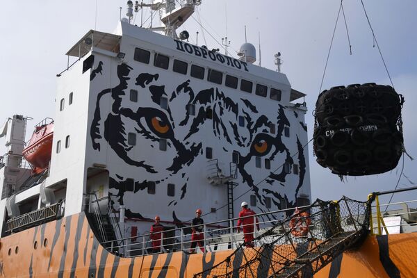 被塗成老虎色的、停泊在濱海邊疆區“南海”鎮港口的“交響曲”號冷藏運輸船 - 俄羅斯衛星通訊社