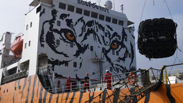 被塗成老虎色的、停泊在濱海邊疆區“南海”鎮港口的“交響曲”號冷藏運輸船 - 俄羅斯衛星通訊社
