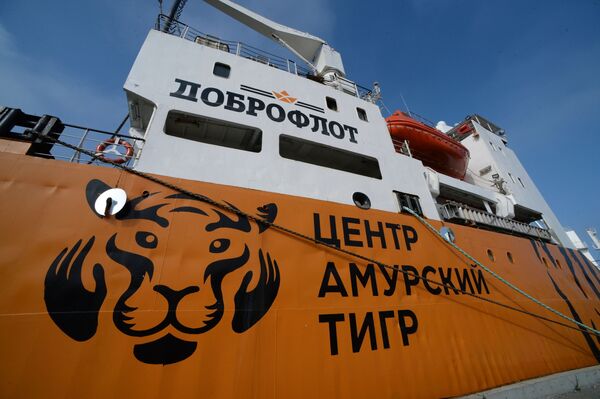 被涂成老虎色的、停泊在滨海边疆区“南海”镇港口的“交响曲”号冷藏运输船 - 俄罗斯卫星通讯社