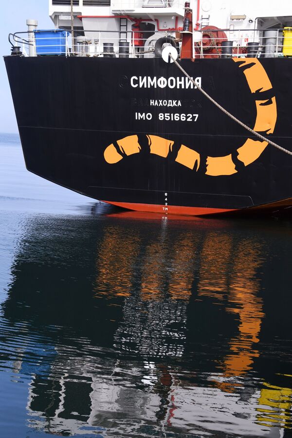被涂成老虎色的、停泊在滨海边疆区“南海”镇港口的“交响曲”号冷藏运输船 - 俄罗斯卫星通讯社