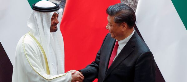 中国利用阿联酋地缘政治角色推动“一带一路”建设 - 俄罗斯卫星通讯社