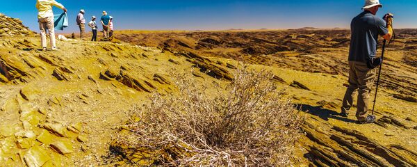 Намибия - 俄罗斯卫星通讯社