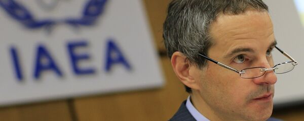 阿根廷常驻维也纳代表可能将担任国际原子能机构总干事 - 俄罗斯卫星通讯社
