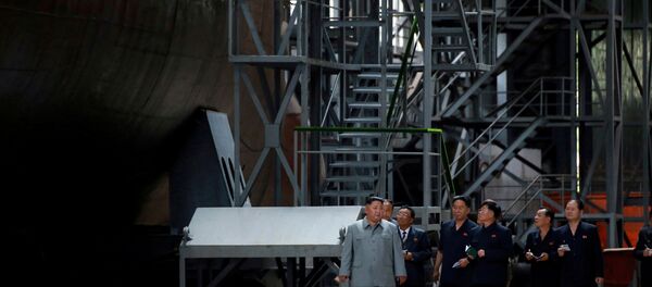 金正恩视察新潜艇 - 俄罗斯卫星通讯社