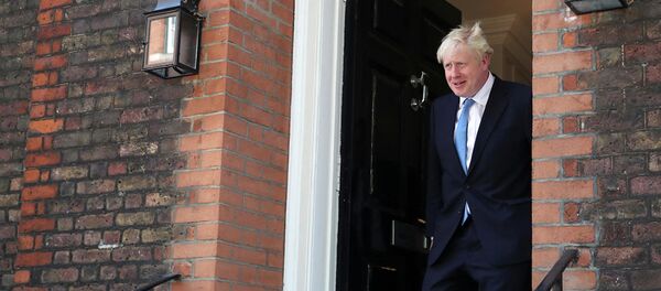 近四成英国人对约翰逊出任新首相感到担忧 - 俄罗斯卫星通讯社