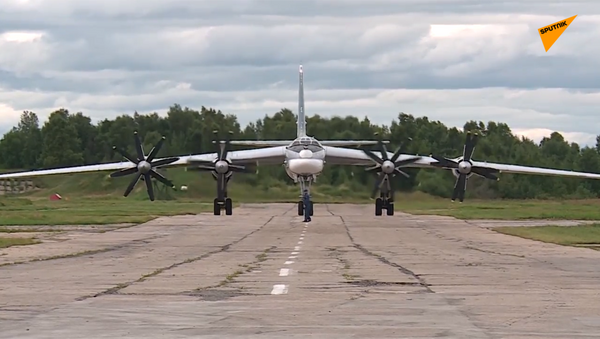 俄中两军在亚太地区开展首次远程飞机联合空中巡航 - 俄罗斯卫星通讯社