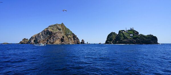 獨島 - 俄羅斯衛星通訊社