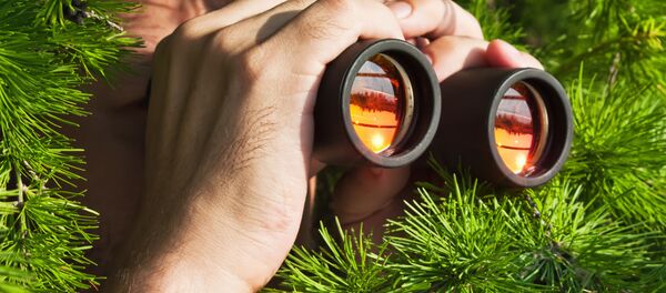 俄情报史学家:在情报工作上女性是男性的强大对手 俄情报史学家:在情报工作上女性是男性的强大对手 - 俄罗斯卫星通讯社