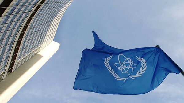 全球40余国向国际原子能机构报告称未记录到辐射排放情况 - 俄罗斯卫星通讯社