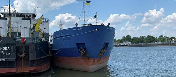 俄外交官：俄方将争取乌克兰释放日前被扣油轮 - 俄罗斯卫星通讯社