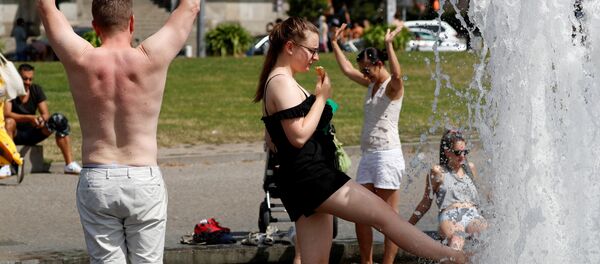 气象学家：德国创下新的高温天气记录 - 俄罗斯卫星通讯社