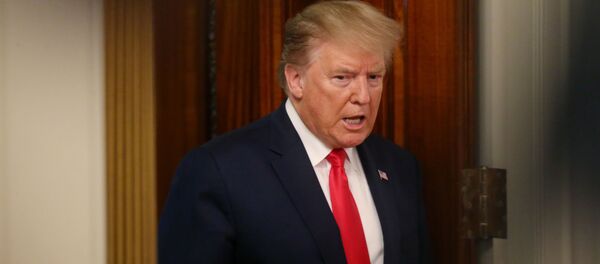 特朗普 特朗普 - 俄羅斯衛星通訊社