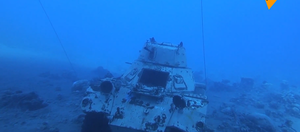 约旦建水下军事博物馆 - 俄罗斯卫星通讯社