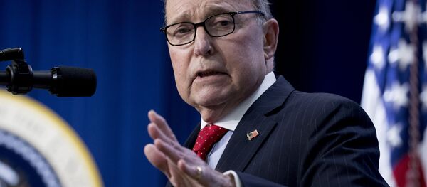 美国总统特朗普的经济顾问拉里·库德洛 - 俄罗斯卫星通讯社