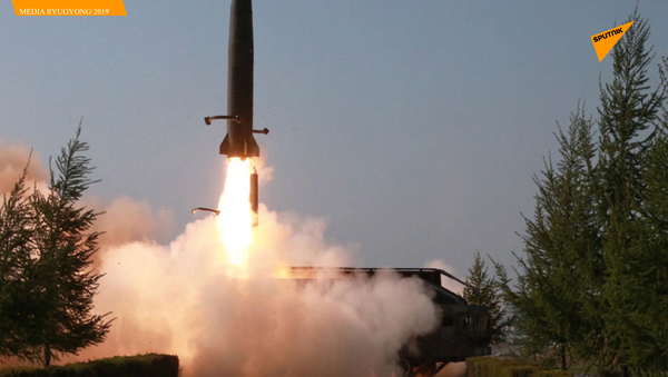 朝鲜称试射导弹是为警告韩国 - 俄罗斯卫星通讯社