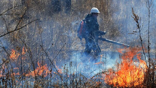 Тушение лесных пожаров - 俄羅斯衛星通訊社