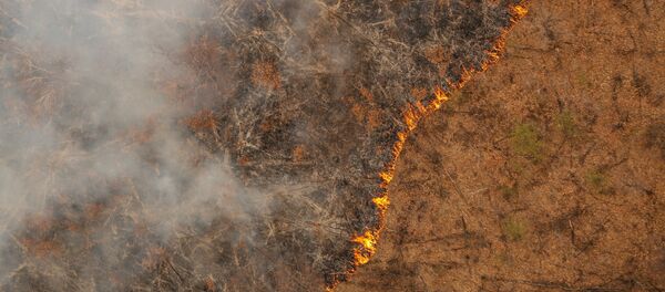 Лесной пожар - 俄羅斯衛星通訊社
