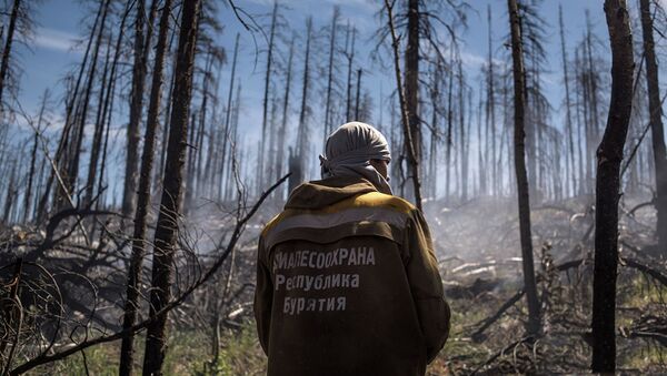 Тушение природного лесного пожара в Бурятии - 俄罗斯卫星通讯社