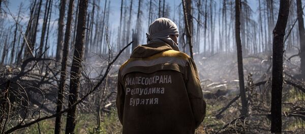 Тушение природного лесного пожара в Бурятии - 俄罗斯卫星通讯社