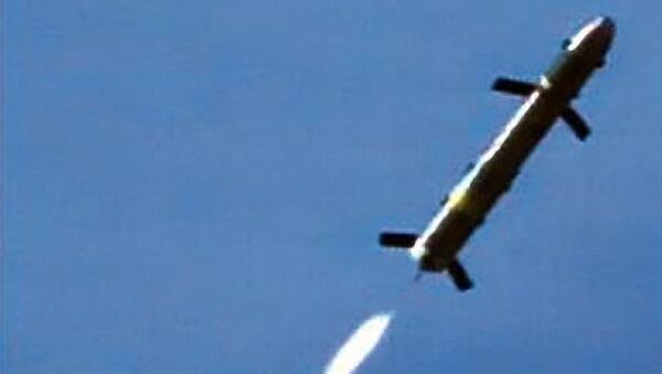 AGM-176 Griffin导弹 - 俄罗斯卫星通讯社