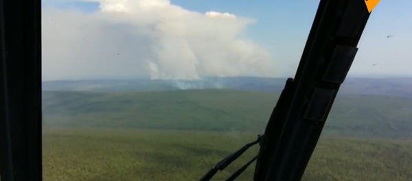 俄西伯利亚160多万公顷森林起火 - 俄罗斯卫星通讯社