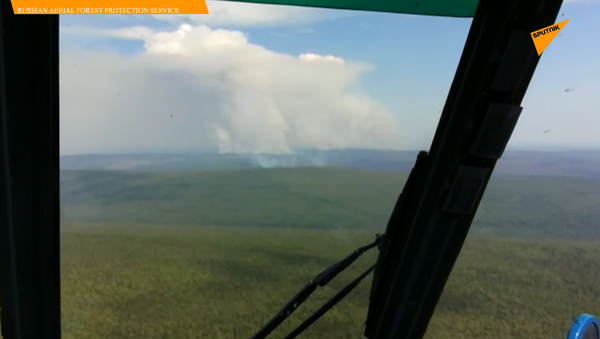 俄西伯利亚160多万公顷森林起火 - 俄罗斯卫星通讯社