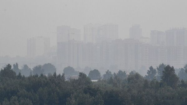 Смог в Новосибирске, вызванный действующими лесными пожарами на территории Красноярского края. - 俄罗斯卫星通讯社