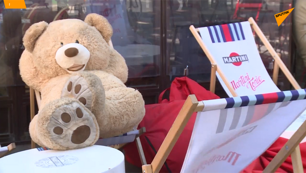 巴黎泰迪熊從冬眠中蘇醒 - 俄羅斯衛星通訊社