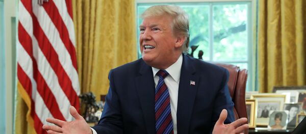 美國總統特朗普 - 俄羅斯衛星通訊社