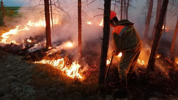 俄航空護林局：過去一天俄羅斯撲滅30多起森林火災 - 俄羅斯衛星通訊社