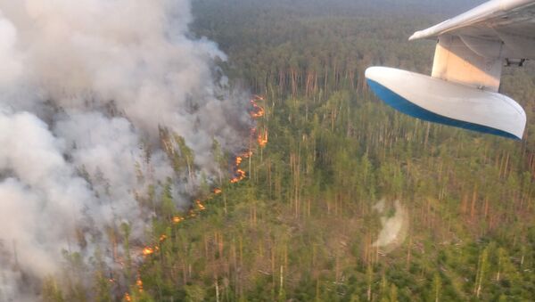 Лесной пожар в Богучанском районе Красноярского края, снятый с борта самолета Бе-200 - 俄羅斯衛星通訊社