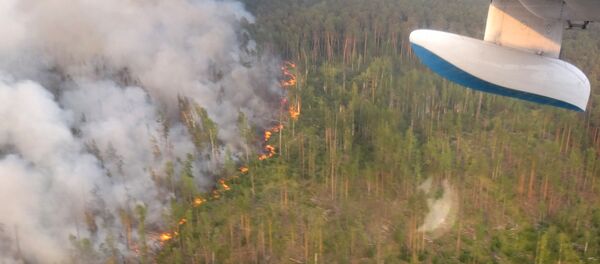 俄总理:森林火灾灾情严重 俄总理:森林火灾灾情严重 - 俄罗斯卫星通讯社