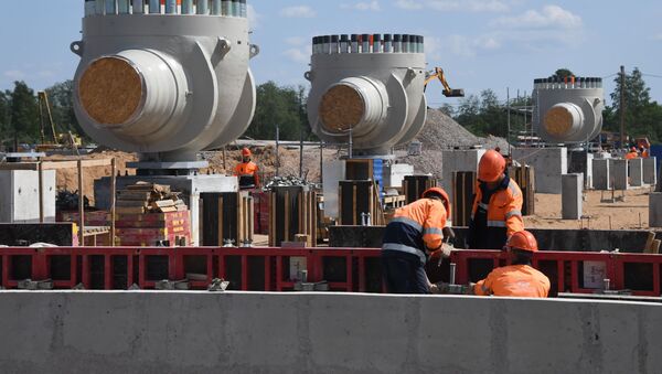 Строительство газопровода Северный поток-2 в Ленинградской области - 俄罗斯卫星通讯社