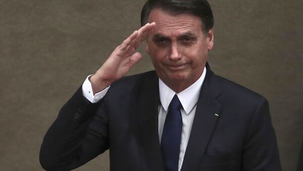 巴西总统为了理发取消会晤法国外长 - 俄罗斯卫星通讯社