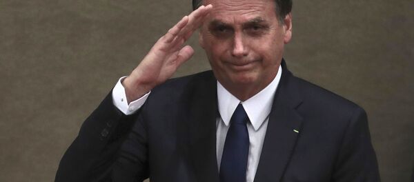 巴西总统为了理发取消会晤法国外长 - 俄罗斯卫星通讯社