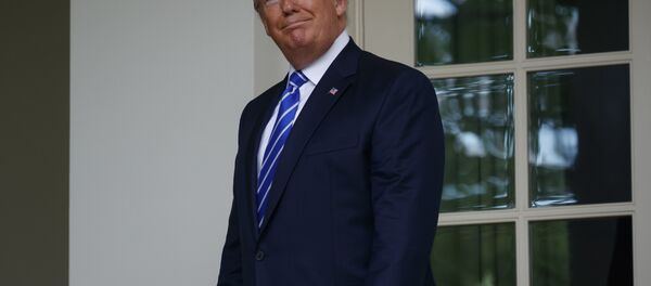 特朗普沒注意到飛到他額頭上的小飛蟲 - 俄羅斯衛星通訊社