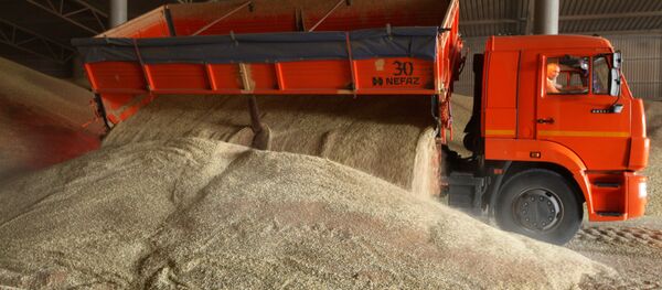 Выгрузка пшеницы Выгрузка пшеницы - 俄羅斯衛星通訊社