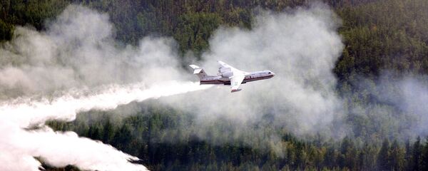 航空护林局：俄联邦林火面积一天内减少5.45万公顷 - 俄罗斯卫星通讯社