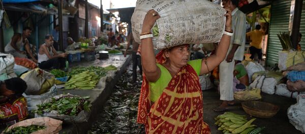 印度与中国的贸易逆差将继续增加 印度与中国的贸易逆差将继续增加 - 俄罗斯卫星通讯社