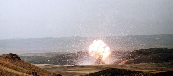 普京力求避免《中导条约》问题破坏稳定加剧紧张局势 - 俄罗斯卫星通讯社