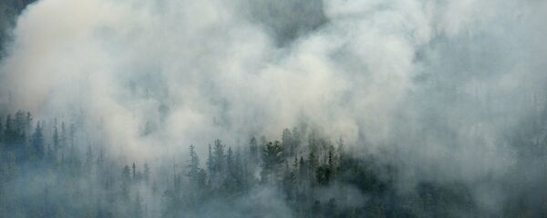 俄中部军区的侦察机发现11处西伯利亚森林火灾 - 俄罗斯卫星通讯社