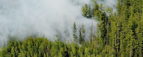 Ликвидация пожара в Красноярском крае - 俄罗斯卫星通讯社