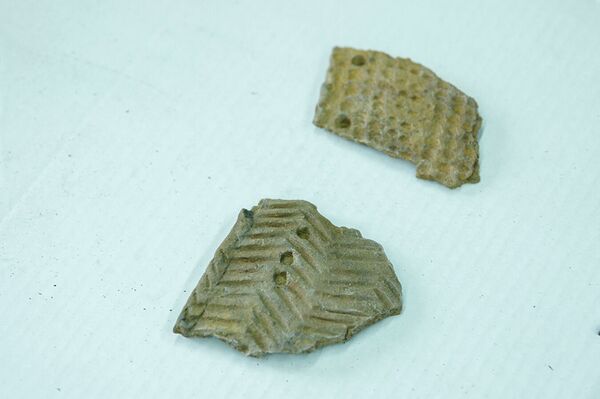 俄中联合考察队发现了一个最古老的墓地 - 俄罗斯卫星通讯社