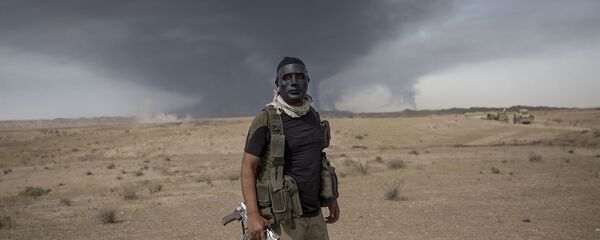 伊拉克 - 俄罗斯卫星通讯社