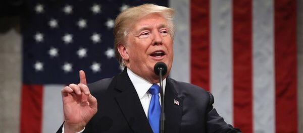 Президент США Дональд Трамп Президент США Дональд Трамп - 俄罗斯卫星通讯社