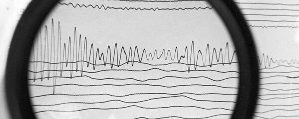 地震仪 - 俄罗斯卫星通讯社